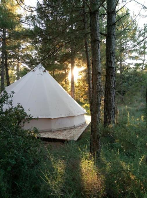 Forest Days Navés Extérieur photo